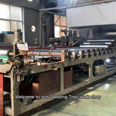  Pro Seedling Tray Manufacturer in China 