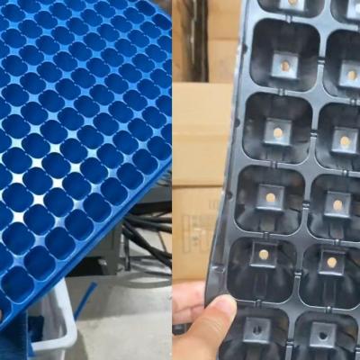Pliable Seedling Tray