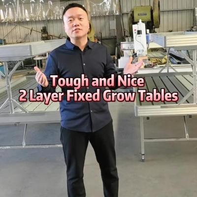 Tough and Nice 2 Layer Fixed Grow Tables