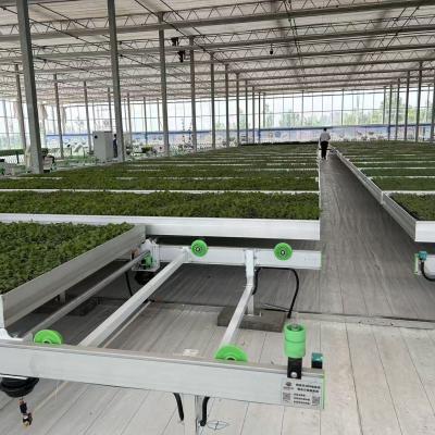 Automatic Rolling Benches