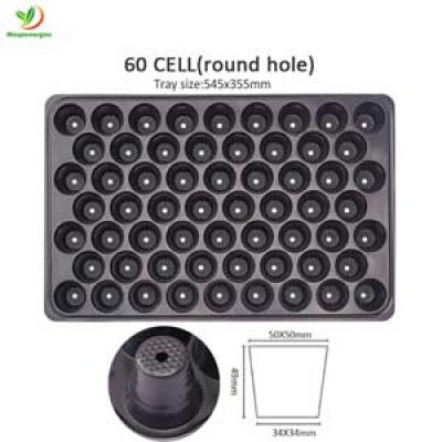 60 Cells Seed Tray Round Holes for Marygolds Zinnias Parsely Spinach Radishes Propagation