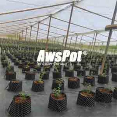 Air Pot is Popular Blueberry Bush Planter Box