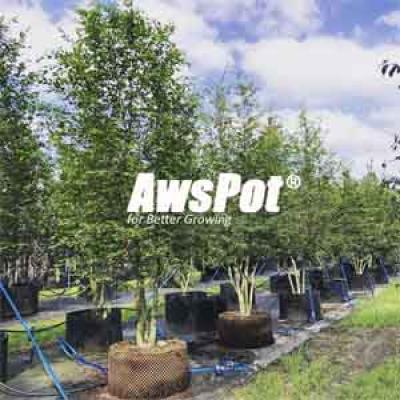 Large Air Pots for Trees ,Eucalyptus with Deep Root Pruning Container