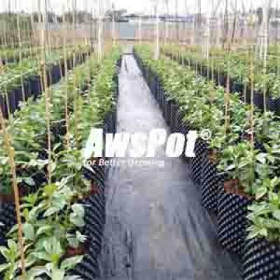 Air Pot 5L for Mini Plants ,Vegetables , Flowers ,Trees Roots Pruining Fast Growing