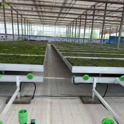 5X5 2X4 3X3 FLOOD TABLE GROW TRAYS MANUFACTURER WHOLESALER FOR HYDROPONIC SYSTEM ,AGRICULTURE GREENHOUSE AND PLANTS CANABS NURSEY