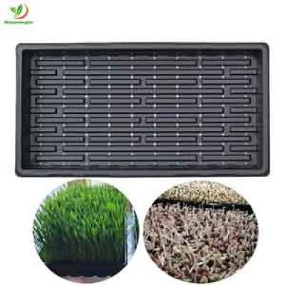 Heavy Duty 1020 Seed Trays Large for Microgreens , Fodder ,Bean Sprout Nursery