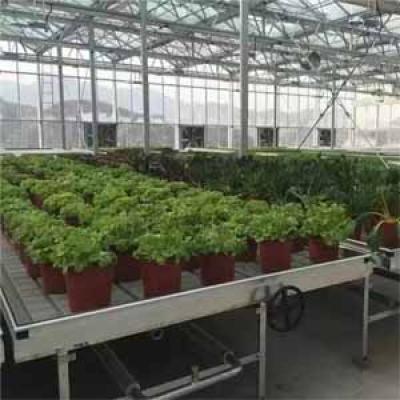 Rolling Agriculture Grow tables and potted plants planting tables