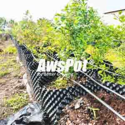 Air Pots 10 gallon for Bluberry ,Eggplants ,Cranberry Root Pruning Fast Growing