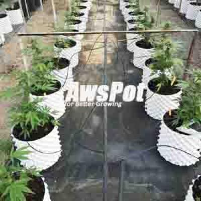 Cheap 2 Gallon Air Pots Pruning for Mini Plants ,Vegetables , Flowers ,Trees