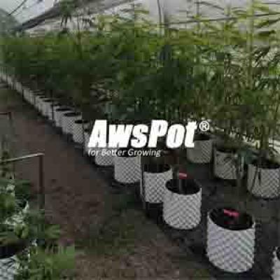 Air Pots 5 gallon Pruning for Cannabis , Weeds , Flower , Vegeables