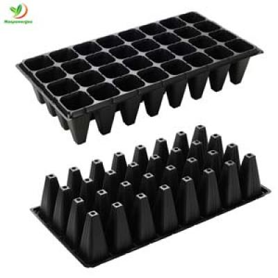 Deep Seedling Tray 32 50 cells for Trees seeds Roots Starting